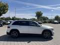 Mercedes-Benz GLB 200 GLB 200 AMG Line Navi Pano.-Dach Keyless-Go Klima AMG Line Navi Pano.-Dach Keyless-Go Klima Wit - thumbnail 7