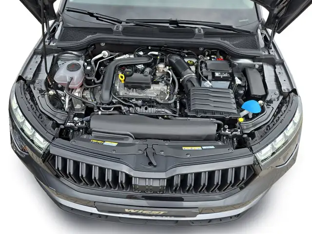 Skoda Kamiq view 12
