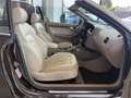 Audi A5 Cabriolet 2.7 TDI Navi Tempo Bang&Olufsen SHZ Braun - thumbnail 14