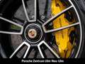 Porsche 992 911 Turbo S Pythongrün Sportabgasanlage LED Vert - thumbnail 14