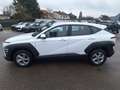 Hyundai KONA Kona HEV (SX2) Smart Line 1.6 GDI 2WD HEV k6hs1 Weiß - thumbnail 5