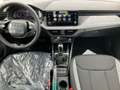 Skoda Kamiq Tour 1.0TSI MATRIX.ASSIST.KAM.WSS/LKR-HEIZ.DSG.SMA Silber - thumbnail 11