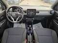 Suzuki Ignis Ignis 1.2 Hybrid Top Grau - thumbnail 12