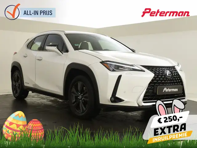 Lexus UX 250h Business Line | Head-up display | navigatie | Stoe