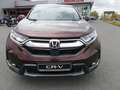 Honda CR-V 1,5T Elegance 4WD Navi. Anhängekupplung Brun - thumbnail 1