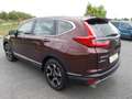 Honda CR-V 1,5T Elegance 4WD Navi. Anhängekupplung Brun - thumbnail 4