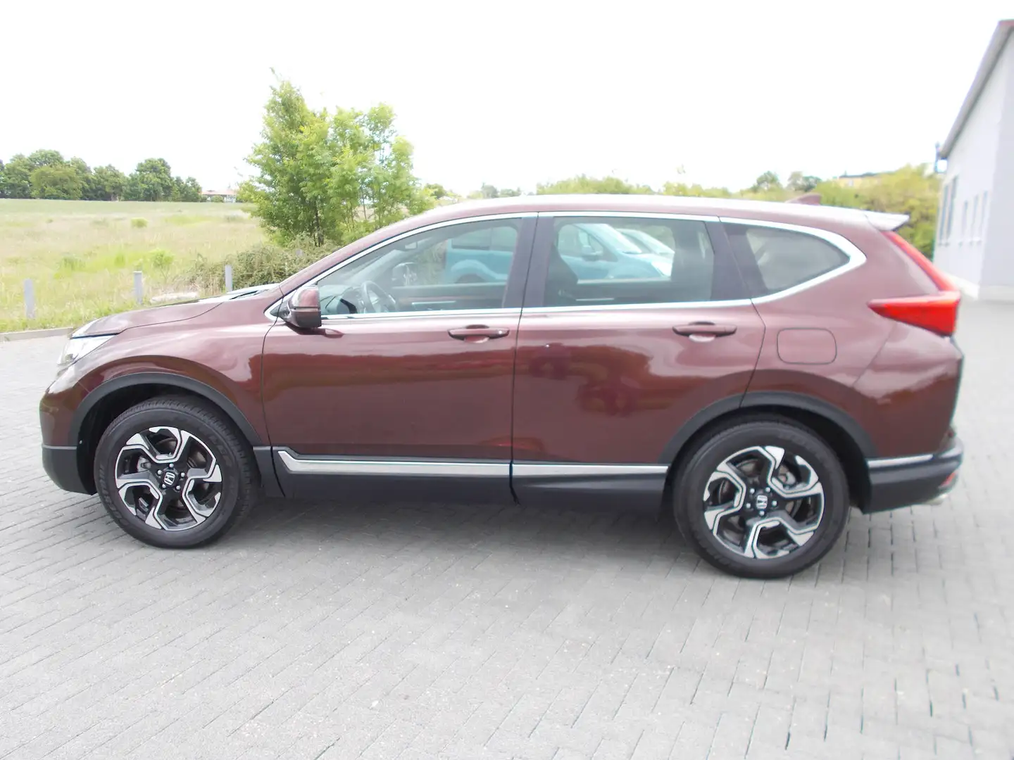 Honda CR-V 1,5T Elegance 4WD Navi. Anhängekupplung Brun - 2