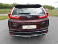 Honda CR-V 1,5T Elegance 4WD Navi. Anhängekupplung Brun - thumbnail 3