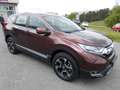 Honda CR-V 1,5T Elegance 4WD Navi. Anhängekupplung Brun - thumbnail 6