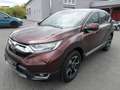 Honda CR-V 1,5T Elegance 4WD Navi. Anhängekupplung Brun - thumbnail 5