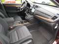 Honda CR-V 1,5T Elegance 4WD Navi. Anhängekupplung Brun - thumbnail 11