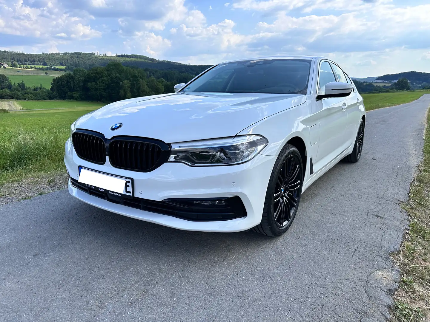 BMW 530 5er Plug-In-Hybrid 530e Aut. Luxury Line White - 2