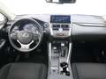 Lexus NX 300 300h Sport Edition 2WD Blanco - thumbnail 3