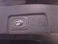 Ford Puma 1.0 EcoBoost MHEV ST-Line X Gold 155 Negro - thumbnail 31