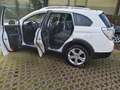 Chevrolet Captiva 2.2 Diesel 4WD Automatik LTZ Weiß - thumbnail 23