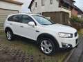 Chevrolet Captiva 2.2 Diesel 4WD Automatik LTZ Weiß - thumbnail 21