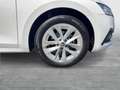 Skoda Octavia Style TDI DSG Weiß - thumbnail 12