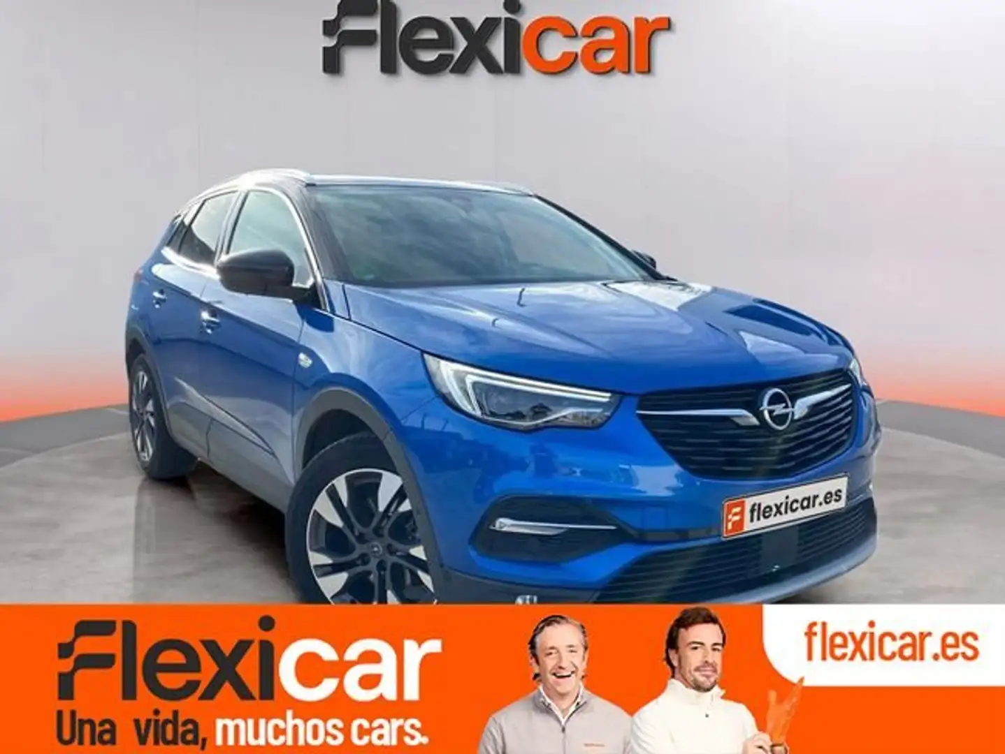 Opel Grandland X 1.6CDTi S&S Excellence 120 Azul - 1
