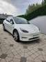 Tesla Model Y Long Range AWD 79kWh Weiß - thumbnail 7