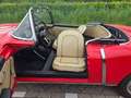 Fiat Spider Europa Spider Rot - thumbnail 10