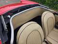 Fiat Spider Europa Spider Rot - thumbnail 19
