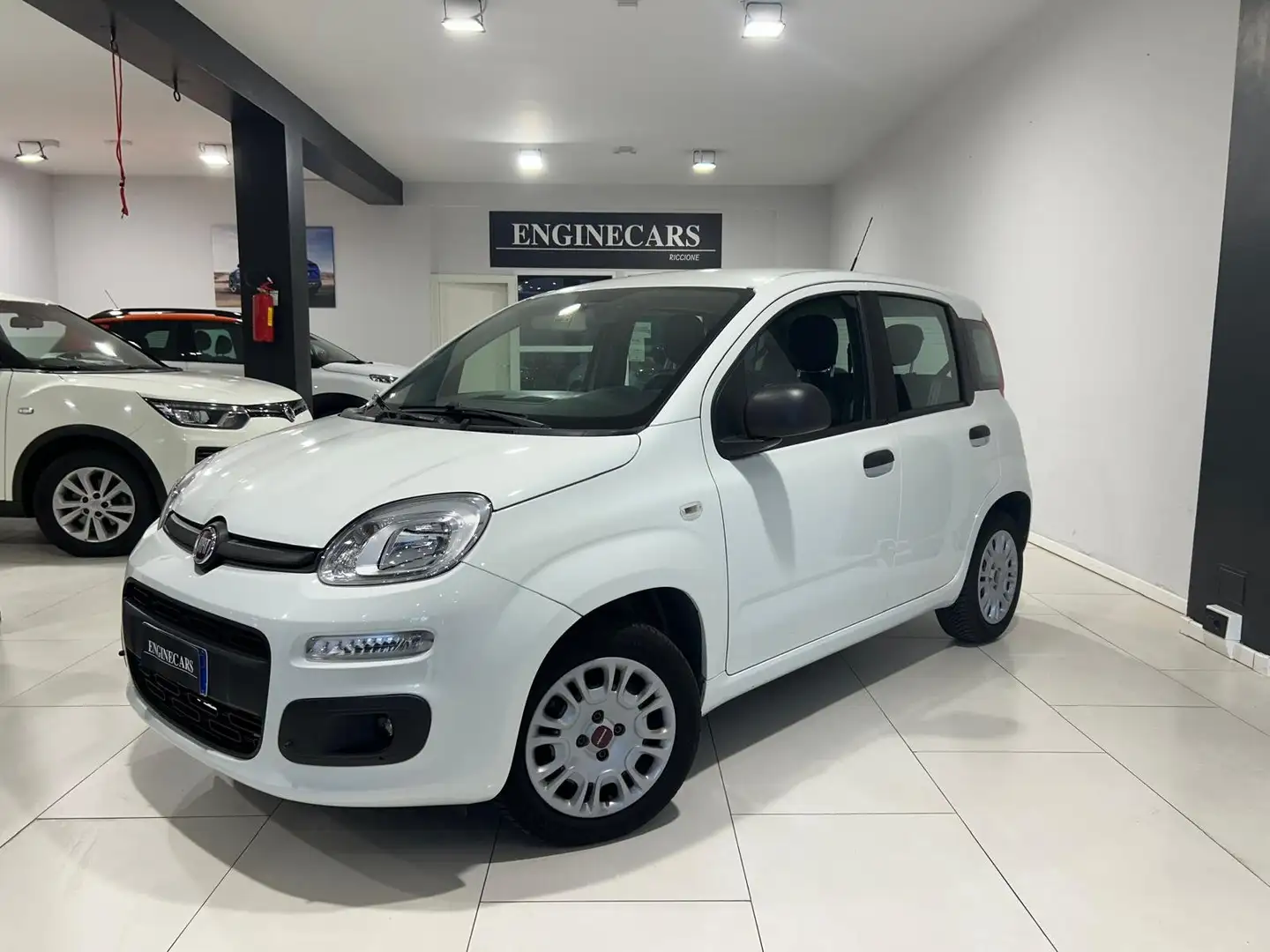 Fiat Panda Panda III 2016 1.2 Lounge easypower Gpl 69cv my19 Bianco - 1