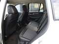 BMW X3 XDRIVE 20d XLINE 190cv AUTO,CERCHI 19,FARI LED Wit - thumbnail 23