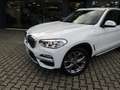 BMW X3 XDRIVE 20d XLINE 190cv AUTO,CERCHI 19,FARI LED Wit - thumbnail 6