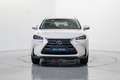 Lexus NX 300 300h Executive 4WD Blanco - thumbnail 2