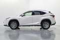 Lexus NX 300 300h Executive 4WD Blanco - thumbnail 8