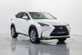 Lexus NX 300 300h Executive 4WD Blanco - thumbnail 3