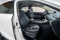 Lexus NX 300 300h Executive 4WD Blanco - thumbnail 15
