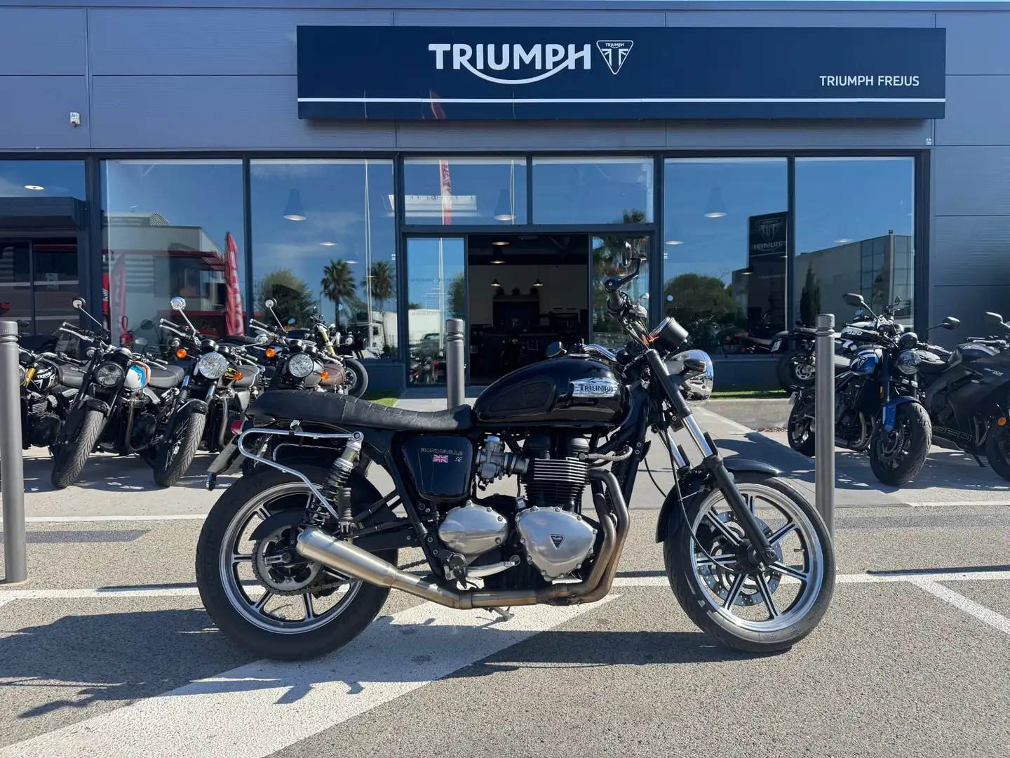Triumph - 1