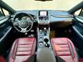 Lexus NX 300h 2.5 F Sport 4WD + Navibox Noir - thumbnail 14