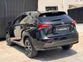 Lexus NX 300h 2.5 F Sport 4WD + Navibox Noir - thumbnail 10