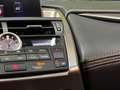 Lexus NX 300h 2.5 F Sport 4WD + Navibox Noir - thumbnail 27