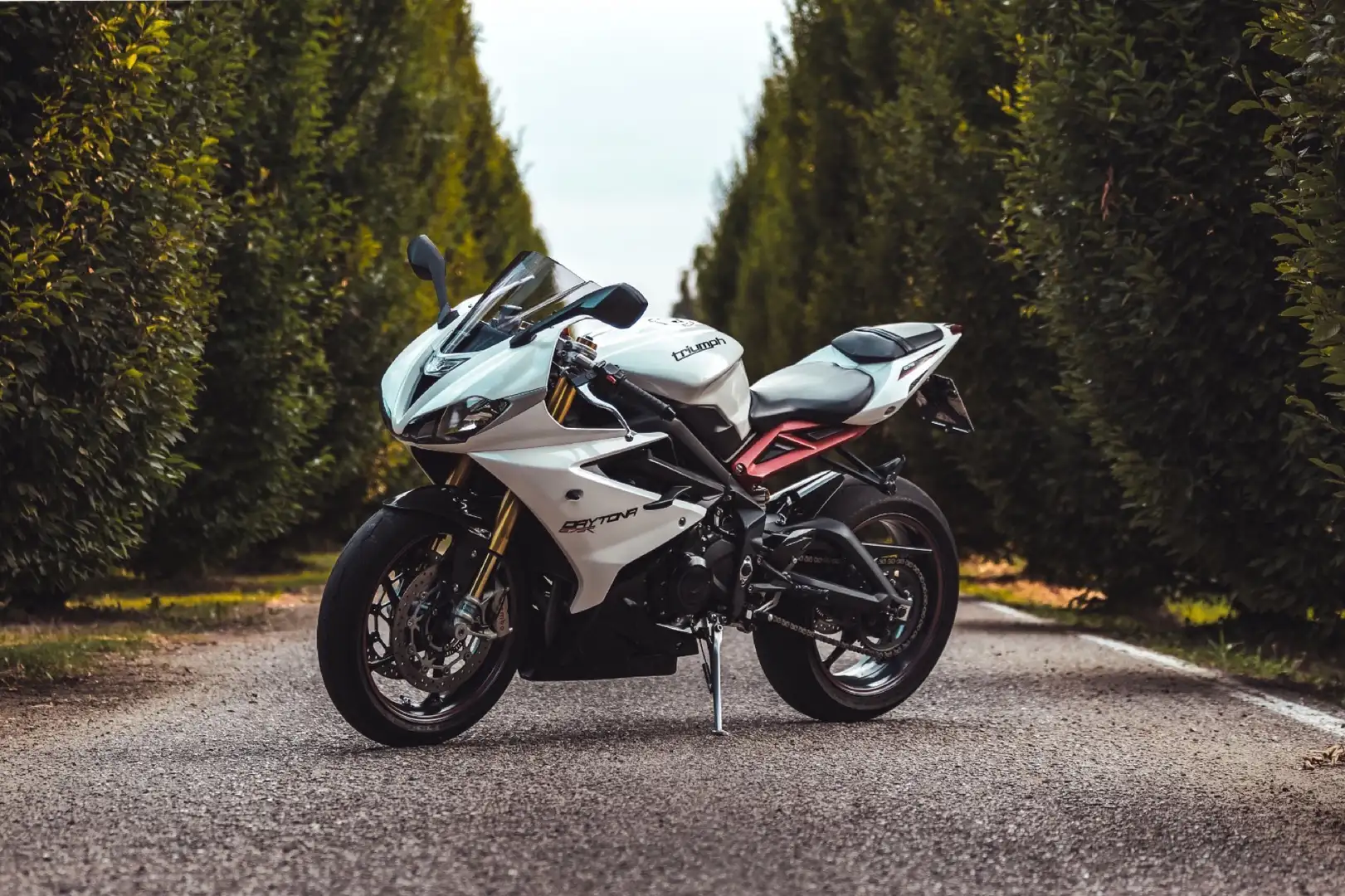 Triumph Daytona 675 Triumph Daytona 675 R ABS Bílá - 1
