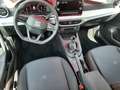 SEAT Ibiza Style Edition *Ihr Seat Vertragspartner* Bleu - thumbnail 11