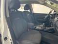 Renault Kadjar dCi 8V 110CV EDC Energy Zen Bianco - thumbnail 7