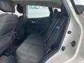 Renault Kadjar dCi 8V 110CV EDC Energy Zen Bianco - thumbnail 10
