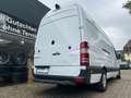 Mercedes-Benz Sprinter 313/314 CDI Maxi XXL *Garantie*1.Hand* Wit - thumbnail 25