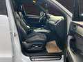 Audi SQ5 3.0 TDI competition quattro / ACC / S-LINE Blanco - thumbnail 11