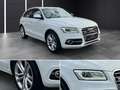 Audi SQ5 3.0 TDI competition quattro / ACC / S-LINE Weiß - thumbnail 3