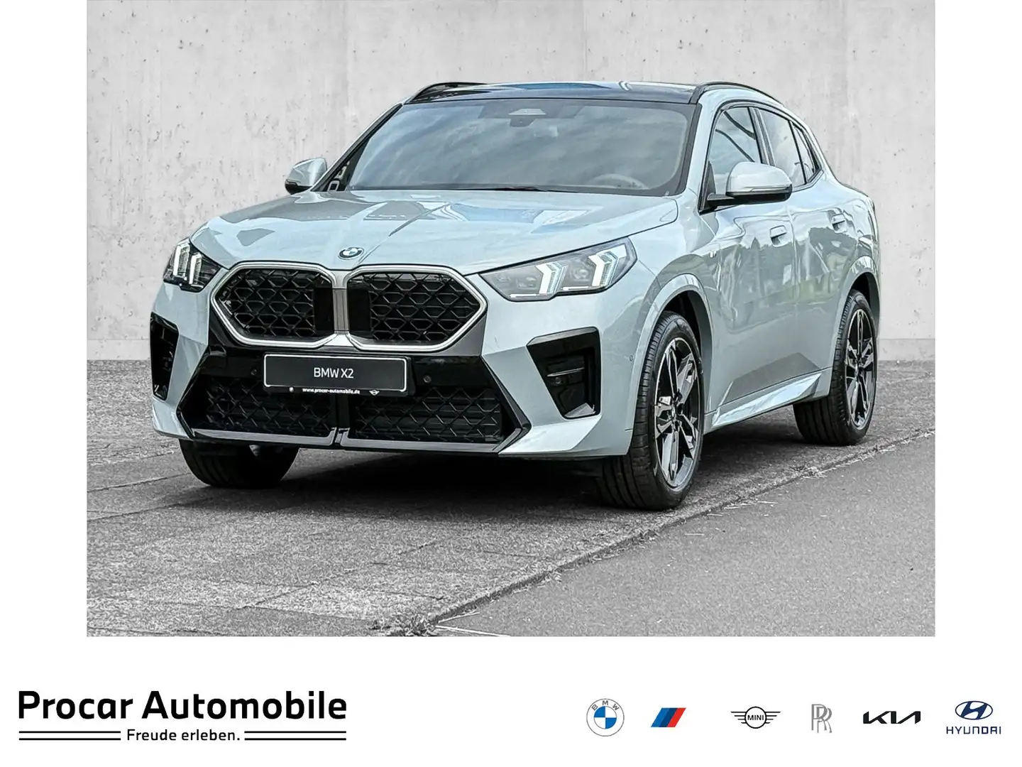 BMW X2 sDrive20i M Sportpaket * BMW Head-Up Display * Pan Grau - 1