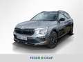 Skoda Kamiq Selection 1.0TSI RFK/PDC/LED/SMART LINK Grau - thumbnail 1