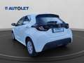 Toyota Yaris IV 2020 1.5h Active Bianco - thumbnail 8