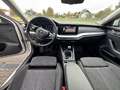 Skoda Octavia Combi 2,0 TDI Clever*LED*ACC*Sportsitze*RFK*Win... Blanc - thumbnail 12