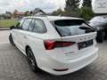 Skoda Octavia Combi 2,0 TDI Clever*LED*ACC*Sportsitze*RFK*Win... Blanc - thumbnail 6