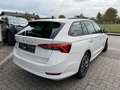 Skoda Octavia Combi 2,0 TDI Clever*LED*ACC*Sportsitze*RFK*Win... Blanc - thumbnail 4