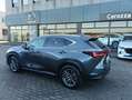 Lexus NX 200t NX II 2022 450h+ 2.5 phev Premium 4wd 309cv e-cvt Grijs - thumbnail 14